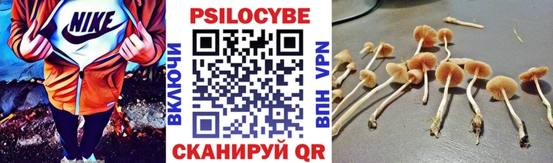 закладки  Тетюши  Псилоцибиновые грибы мухоморы 