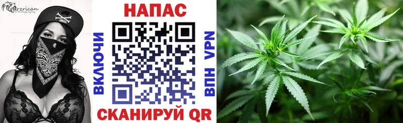 Каннабис планчик  как найти   Тетюши 